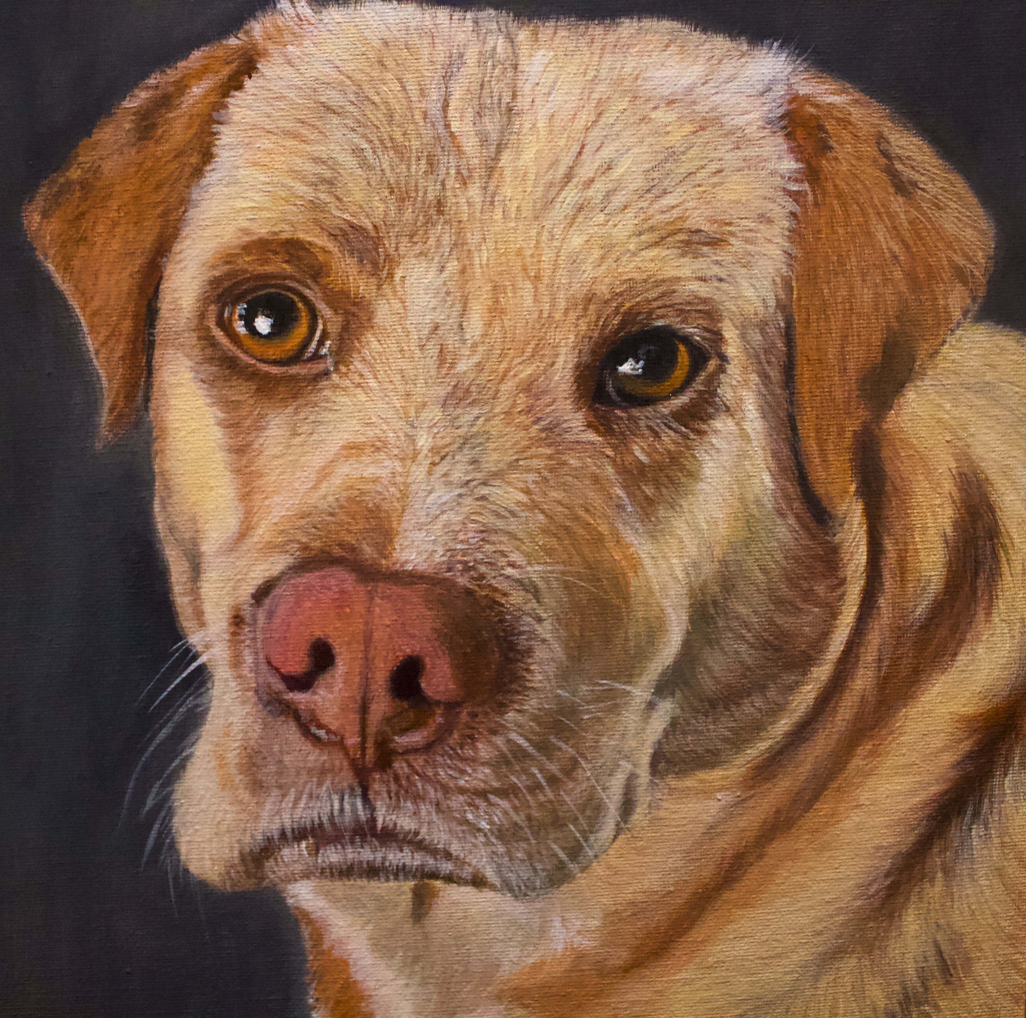 Pet Portrait Title 1